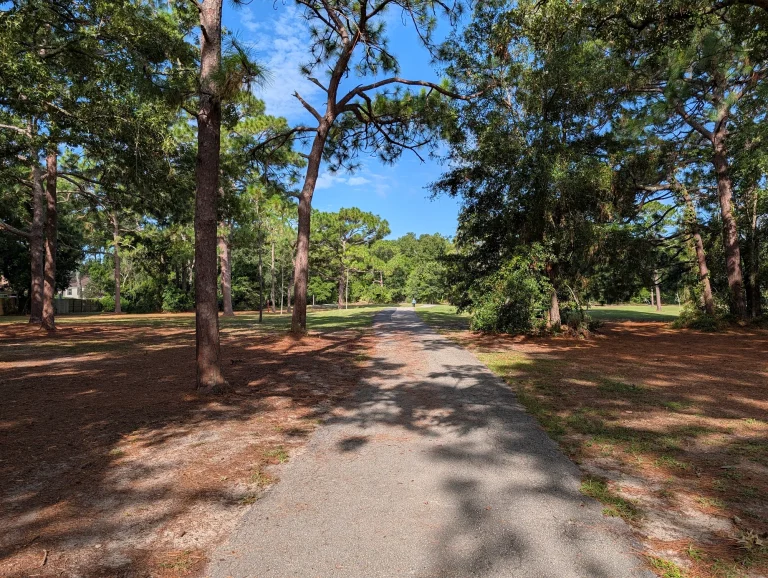 Ed Austin Regional Park Dog Park