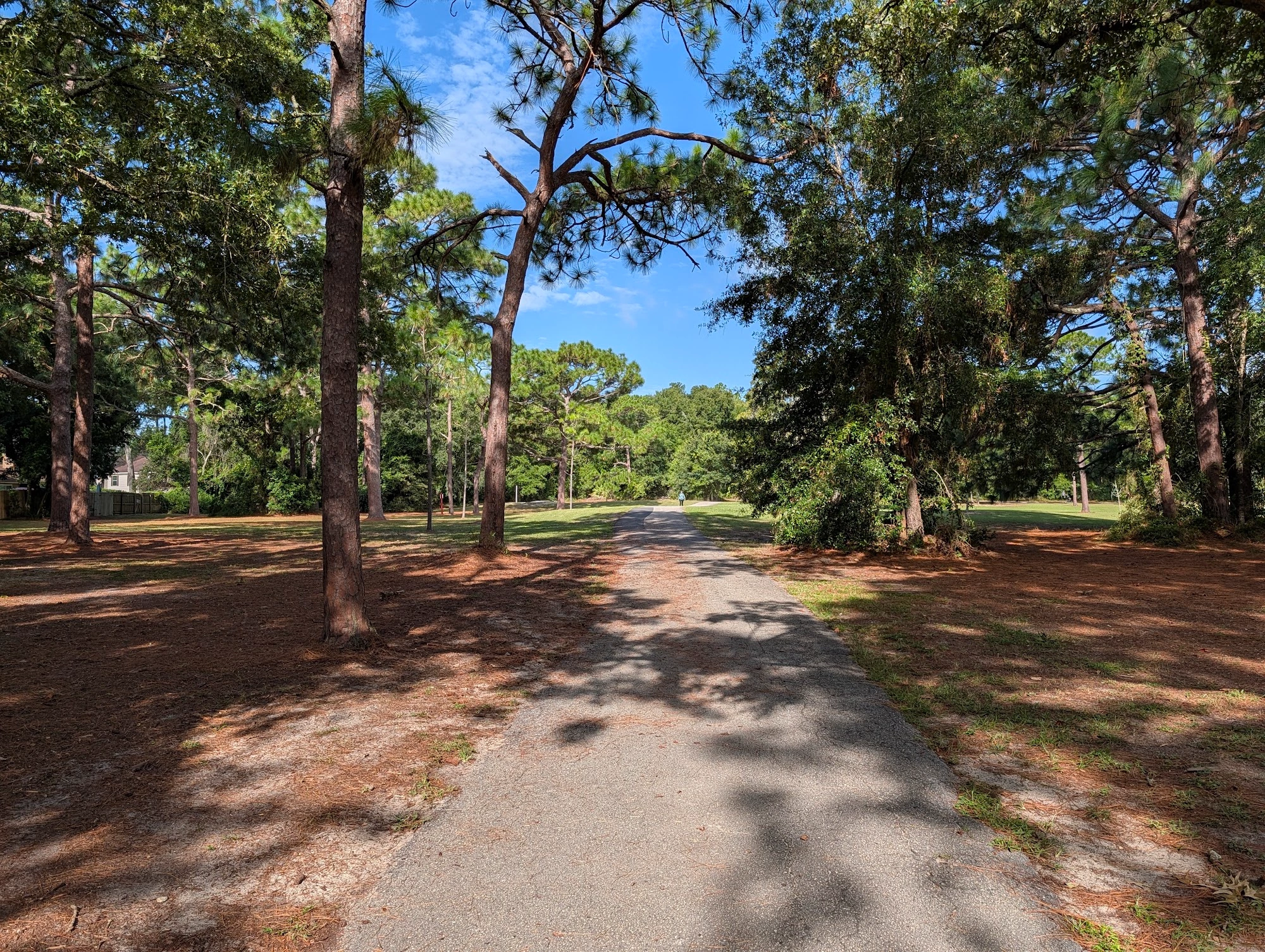 Ed Austin Regional Park Dog Park