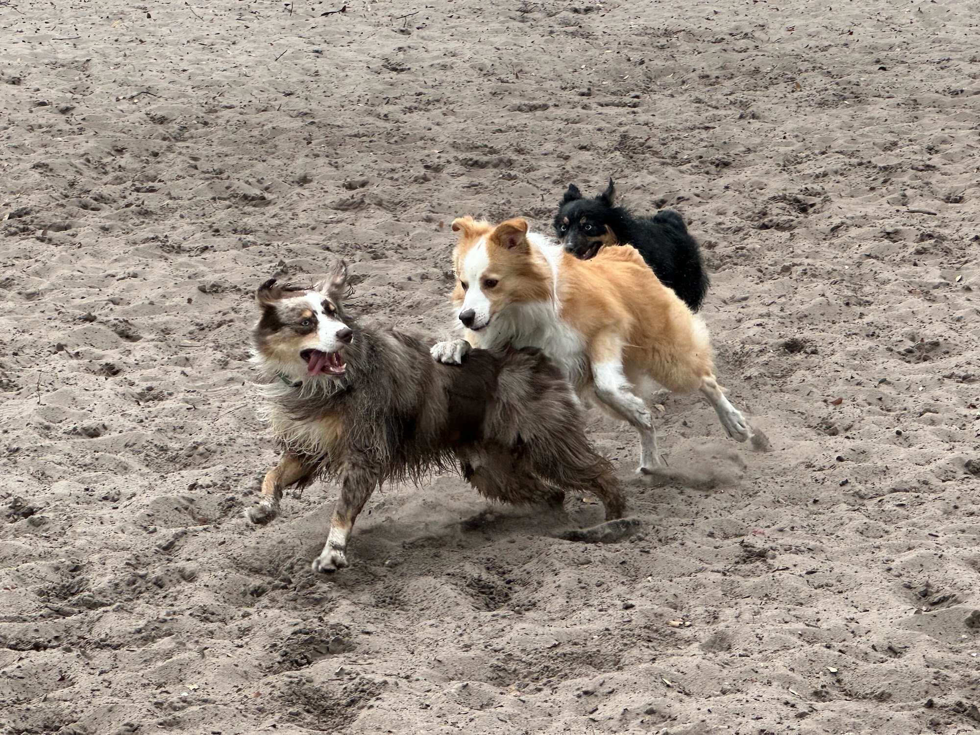 Lake Baldwin Dog Park