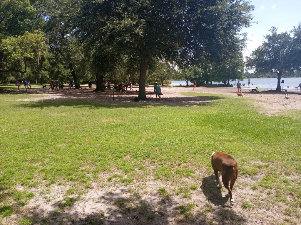 Lake Baldwin Park off-leash dog area in Winter Park, Florida