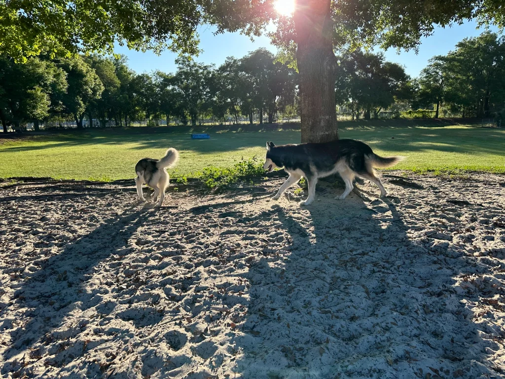 Letty Towles Dog Park in Ocala, Florida