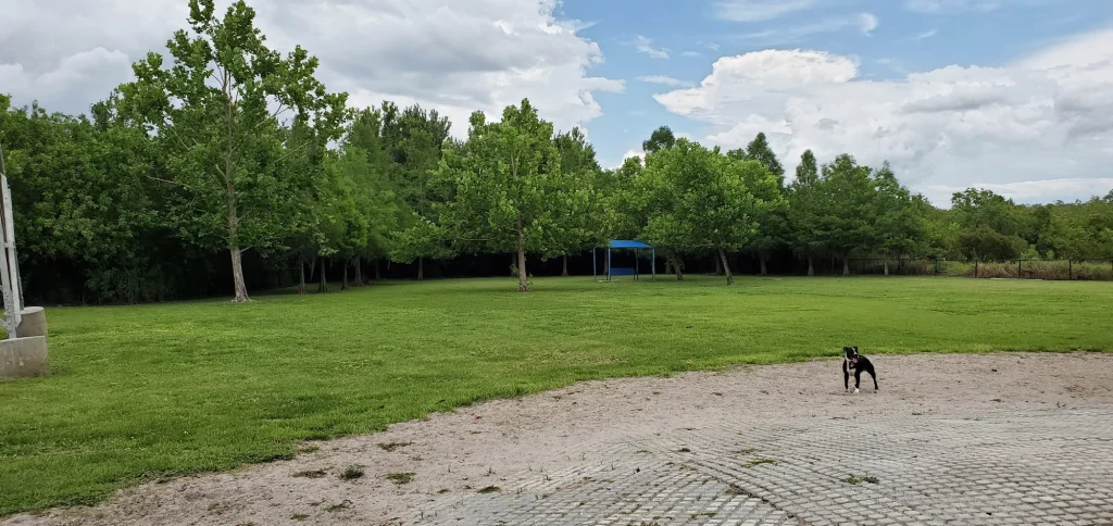 Meadow Woods Park Dog Park in Orlando, Florida
