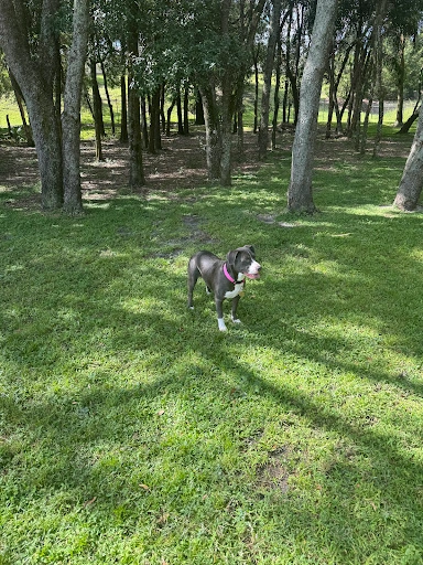 Park of the Americas Dog Park in Orlando, Florida