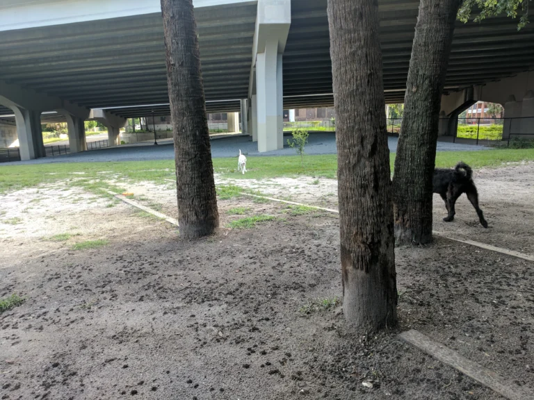 John Gorrie Dog Park