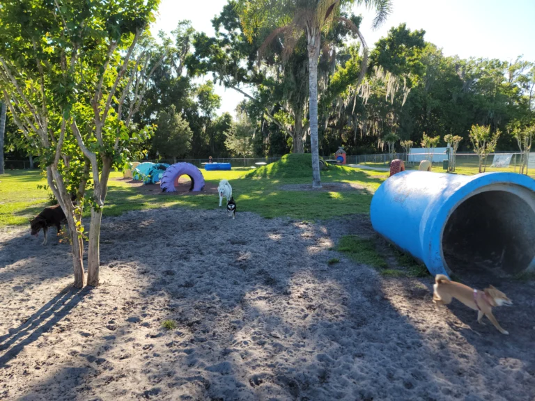Oviedo dog park