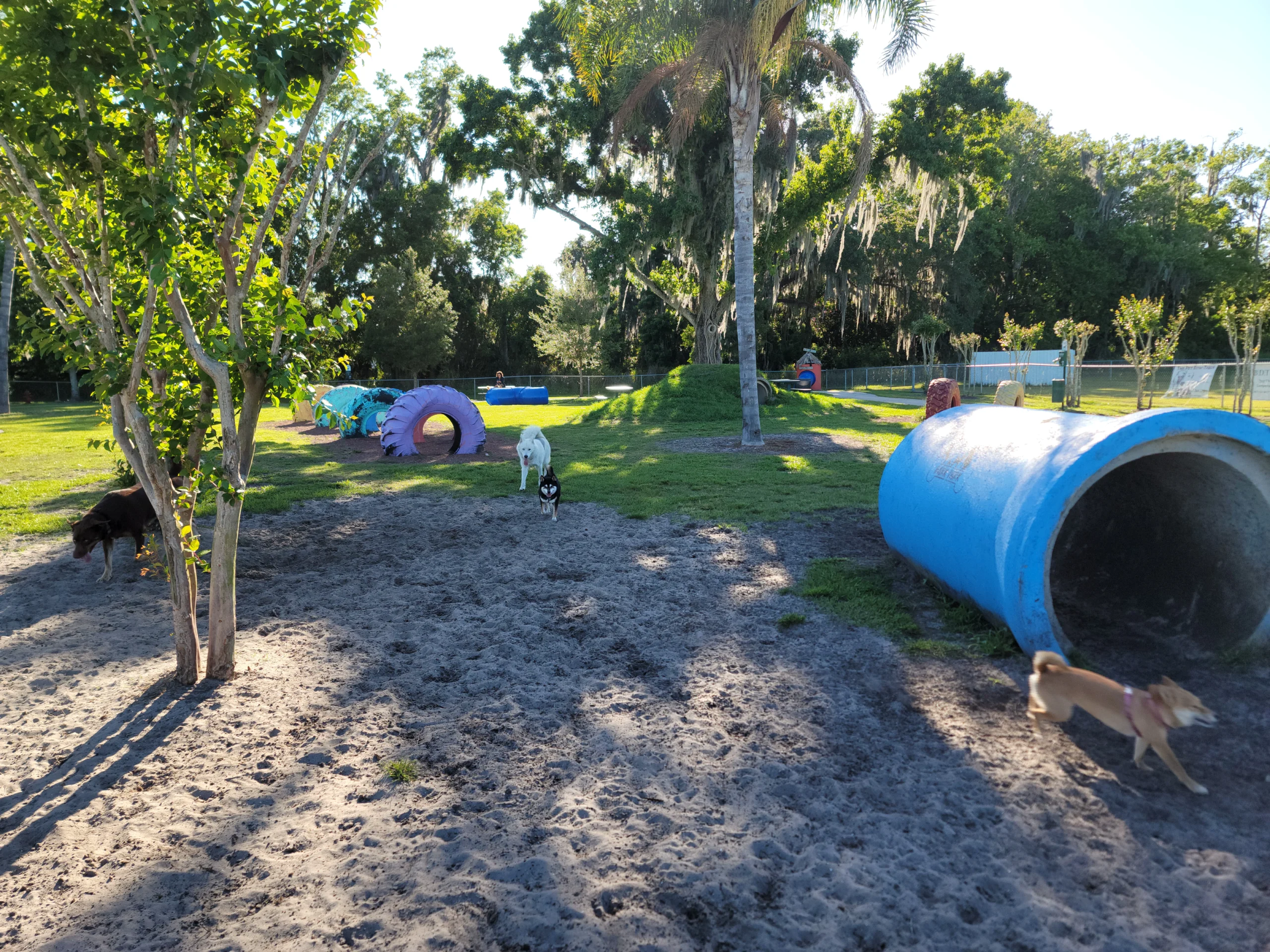 Oviedo dog park